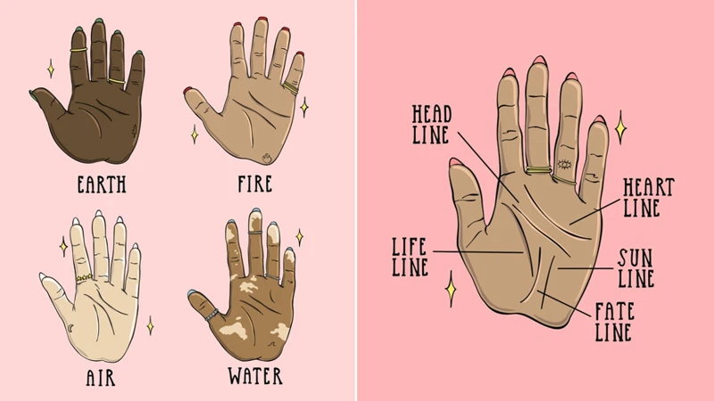 The Science Behind Palm Reading