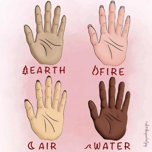 Secondary Palm Shapes