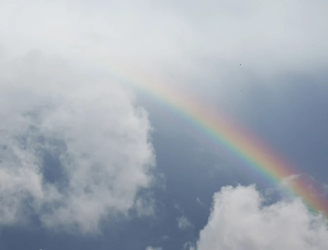 Signs And Messages From Loved Ones In Spirit