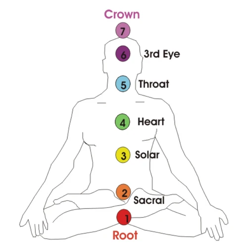 The Chakra System