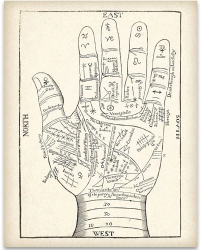 The History Of Palmistry