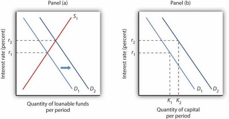 The Role Of Supply And Demand