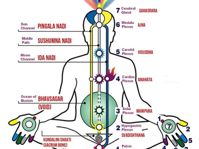 The Seven Chakras And Their Connection To Kundalini Energy