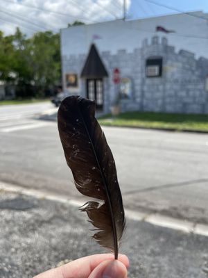 Photo of The Raven Faerie, brandon fl, USA